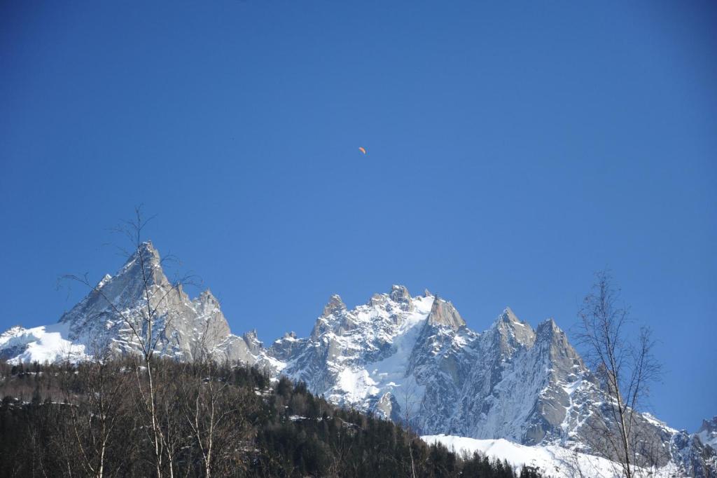 Mont Blanc Spa Chalet Bnb Chamonix Kültér fotó